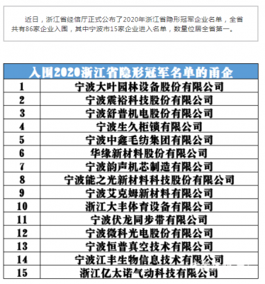 宁波米兰网站新材料有限公司成为“2020浙江省隐形冠 军”